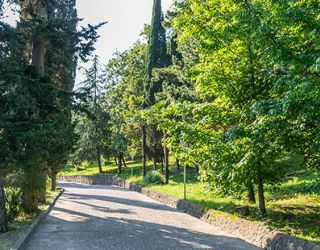 *Санаторий "Магадан" г.Сочи