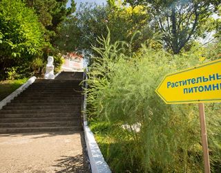 *Санаторий "Магадан" г.Сочи