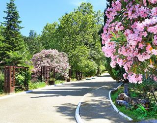 *Санаторий "Магадан" г.Сочи