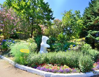 *Санаторий "Магадан" г.Сочи