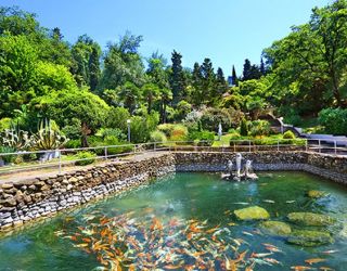 *Санаторий "Магадан" г.Сочи