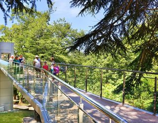 *Санаторий "Магадан" г.Сочи