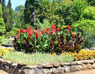 *Санаторий "Магадан" г.Сочи