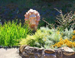 *Санаторий "Магадан" г.Сочи