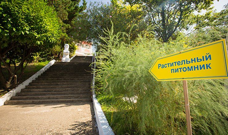 *Санаторий "Магадан" г.Сочи