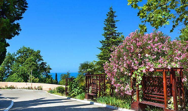 *Санаторий "Магадан" г.Сочи