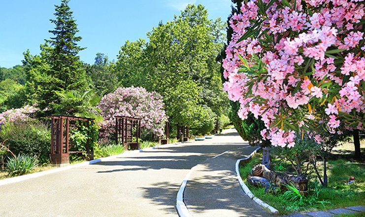 *Санаторий "Магадан" г.Сочи