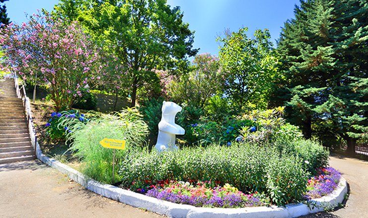 *Санаторий "Магадан" г.Сочи