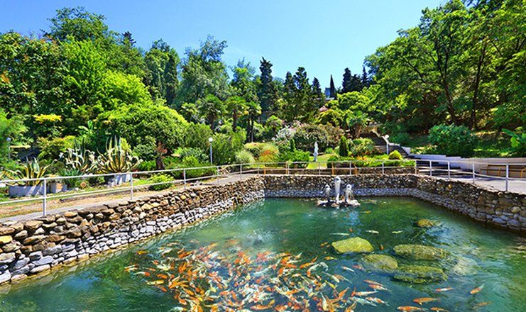 *Санаторий "Магадан" г.Сочи