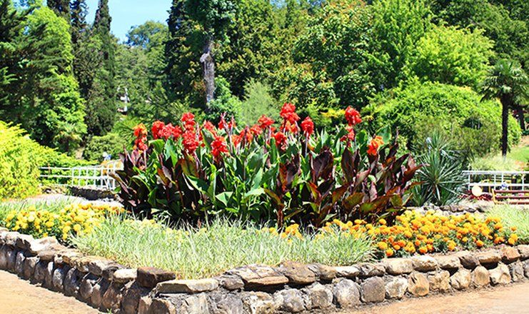 *Санаторий "Магадан" г.Сочи