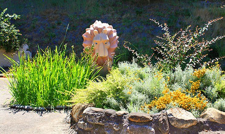 *Санаторий "Магадан" г.Сочи